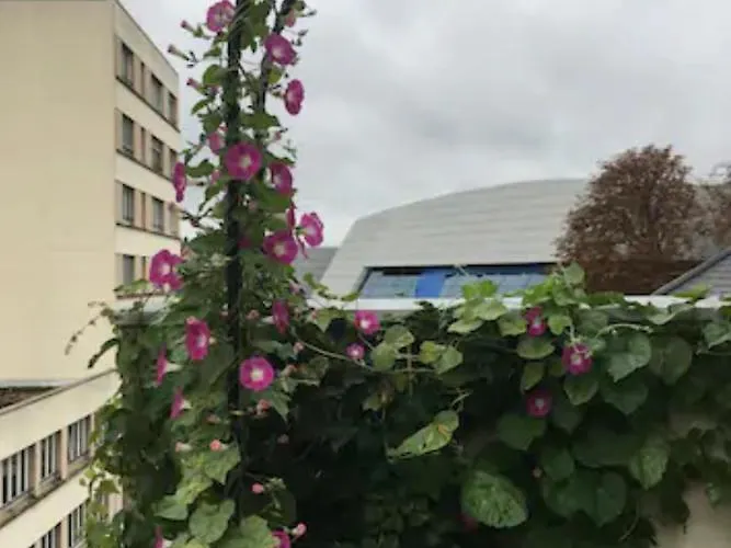 Magdelaine - Vue Cathedrale *