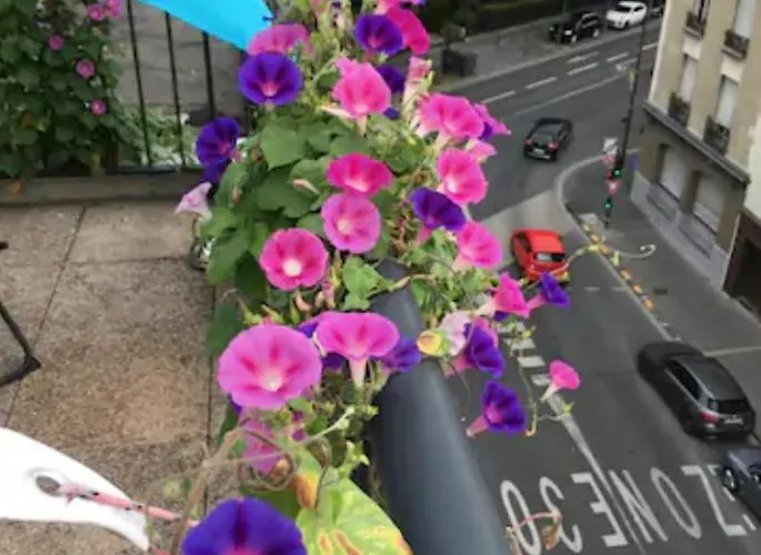 Magdelaine - Vue Cathedrale Apartment *